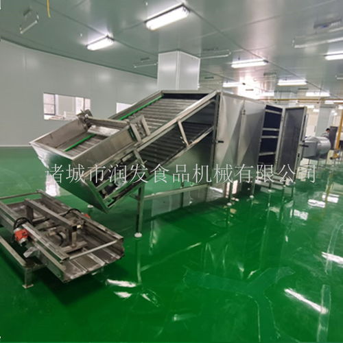 專業制造，全程服務——諸城潤發食品機械為您打造高效荷葉茶成套加工設備